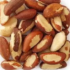 Hot Selling Genuine Supplier of Organic Brazil Nuts
