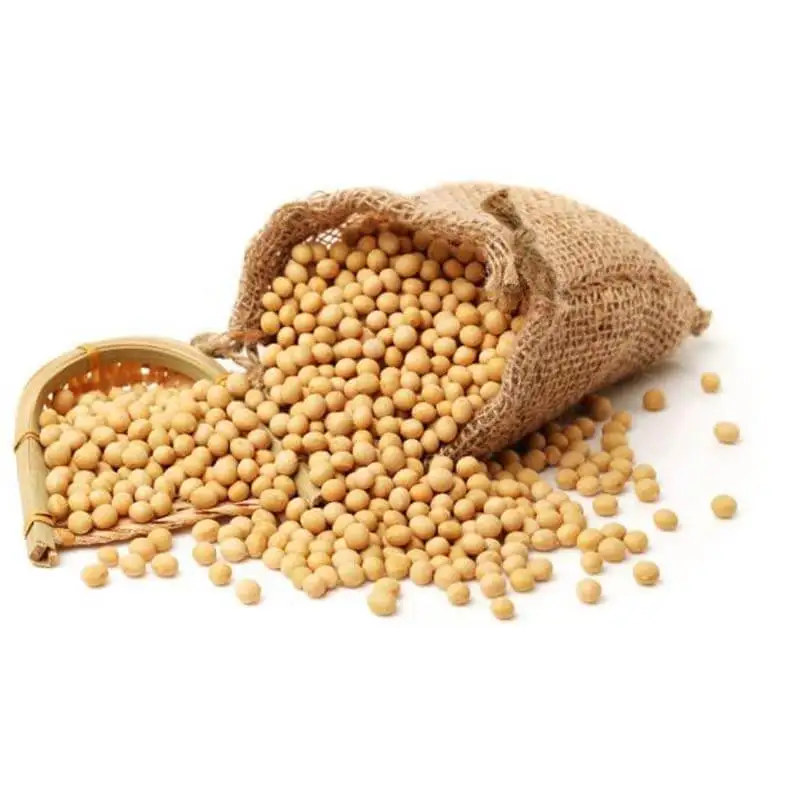 2022 crop High protein yellow soybean soya beans / soy bean for sale