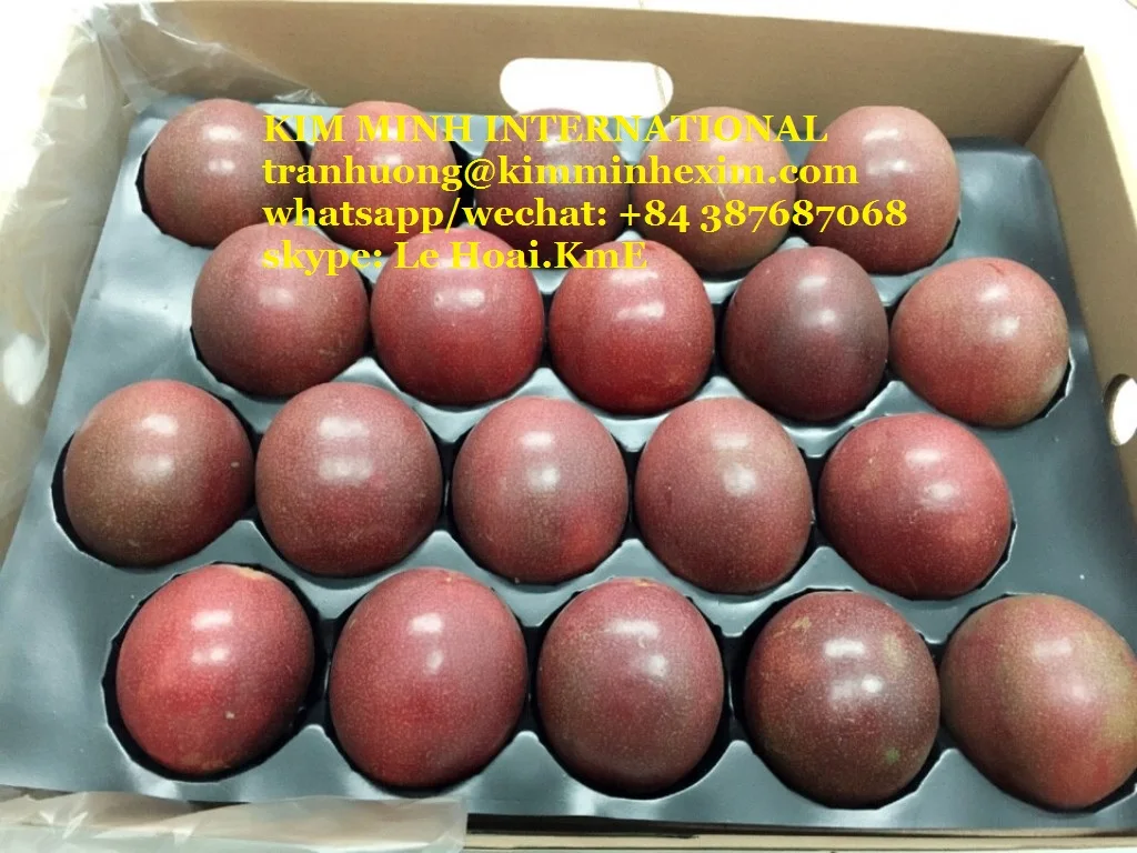 PASSION Fruit COMMON Fresh Passion Fruit Export with Cheap Price