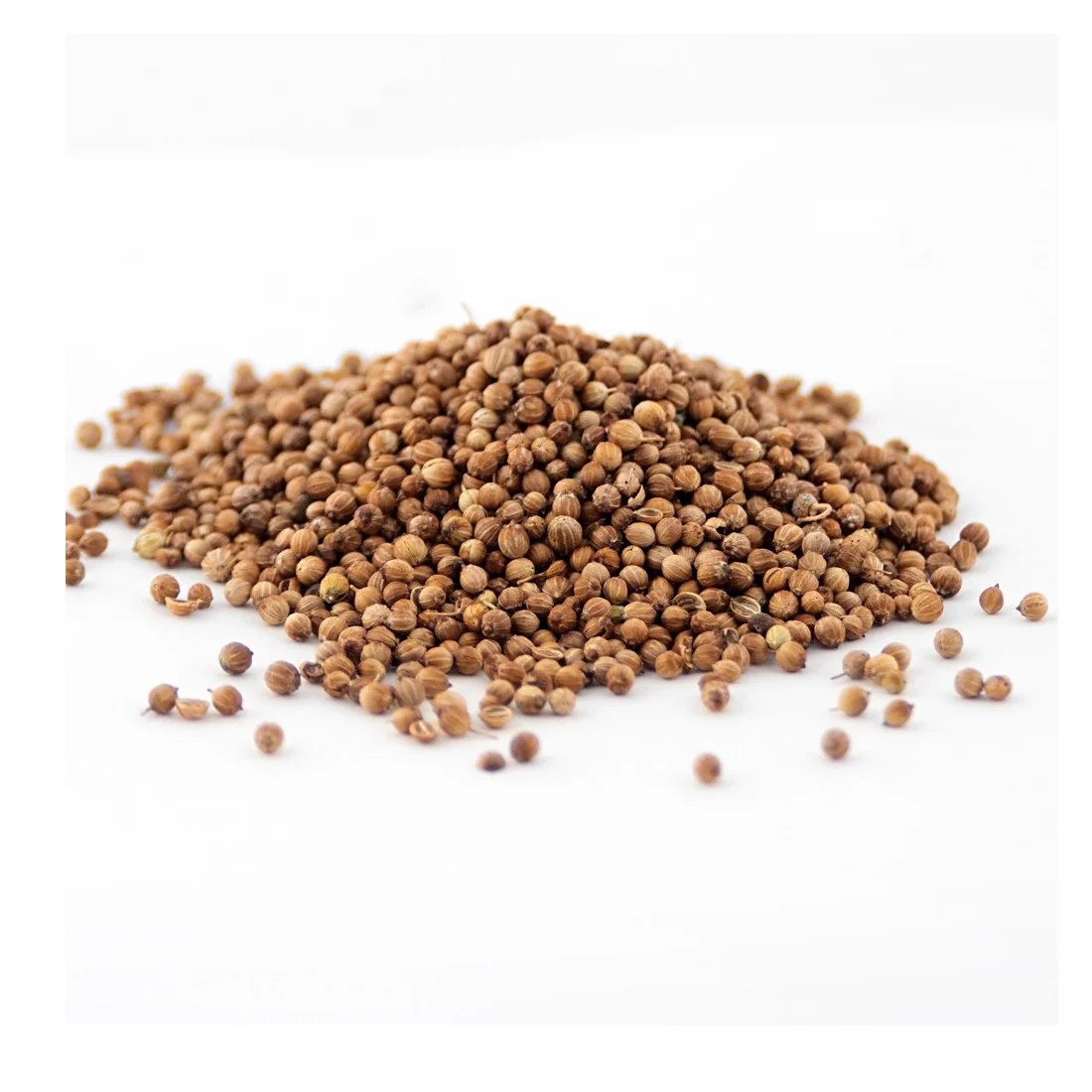 Оптовая продажа семян кориандра высокой чистоты Премиум-качества