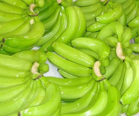 Cheap price export fresh banana in huge manufacturer from Viet Nam