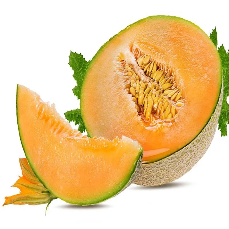 Fresh Melons For Sale / Hybrid F1 Musk Melon Seed / FRESH ROCK MELON WITH GOOD PRICE