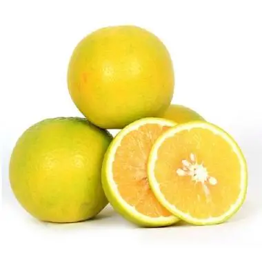 Fresh mausammi fruit sweet-lime worldwide supply from India