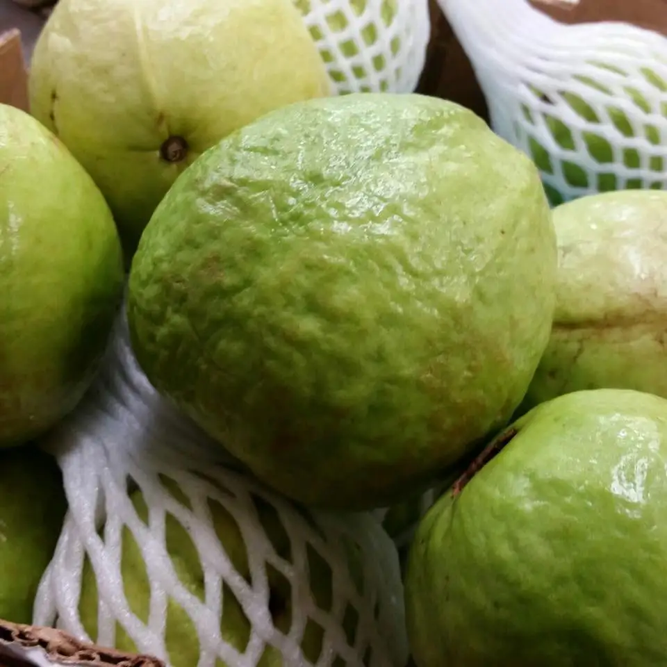 Natural White And Red Guajava Fruits Fresh White Guava