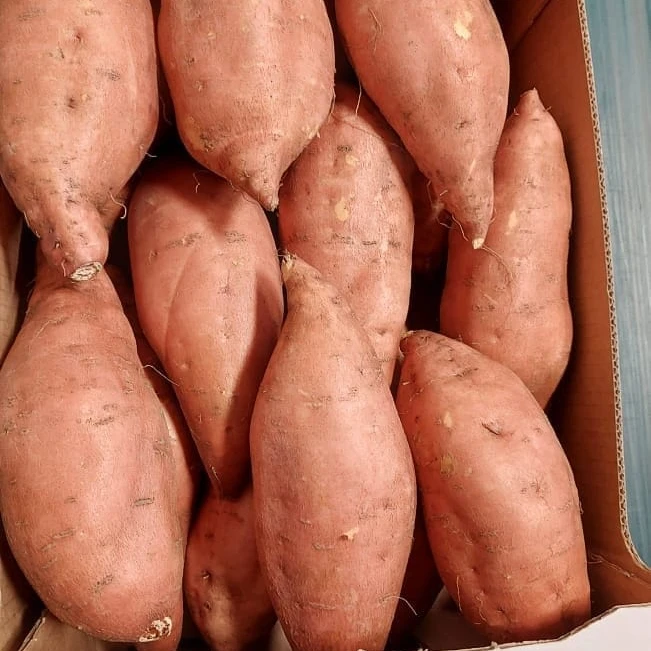 Свежий сладкий картофель из египта beauview новый урожай 2021/2022 (Непревзойденная цена)