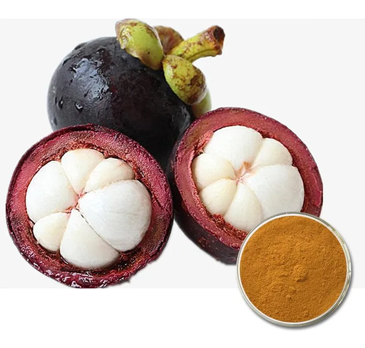 SALE MANGOSTEEN/ FRESH MANGOSTEEN FROM VIETNAM MANUFACTURER SELLING IN BULK QUALITY AND CHEAP PRICE
