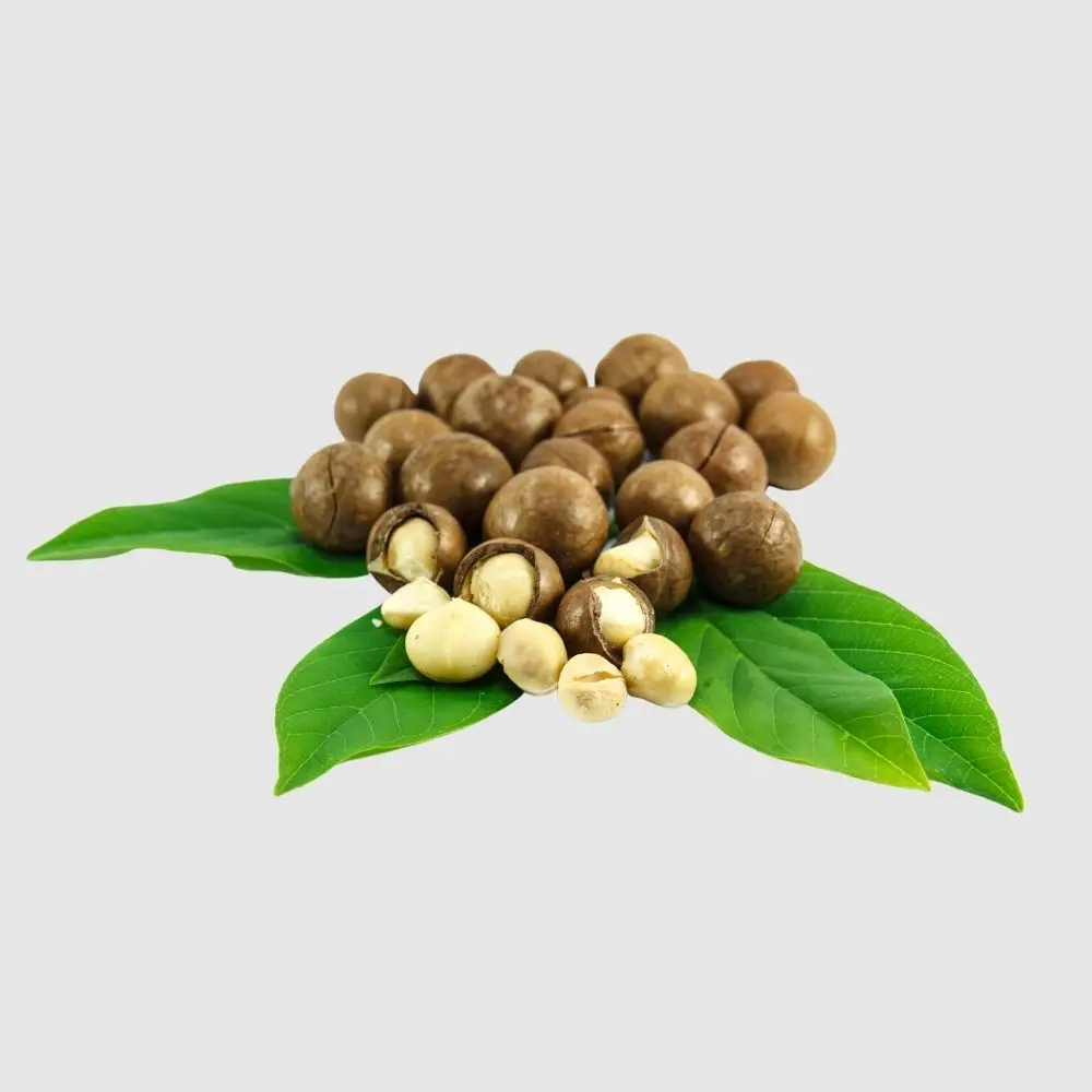 Сельскохозяйственные орехи macca смешанные макадамии необработанные закуски цены на