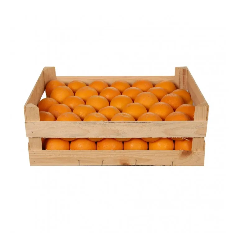 PREMIUM QUALITY NATURAL CLEMENTINE FREMONT SATSUMA PRIMASOL NOVA SWEET FRESH TANGERINE MANDARIN EXPORT FROM TURKEY