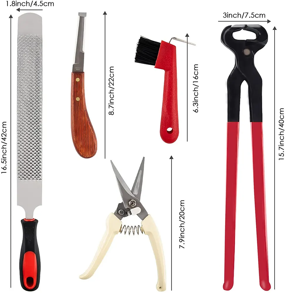 High Quality Stainless steel hoof Trimming Kits with wooden handle With Customized Logo And Made In Pakistan