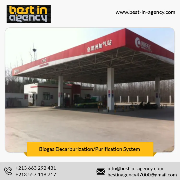2*5, 000 Cubic Meters Nm3 Carbon Removal Biogas Upgrading/Decarburization/Purification System