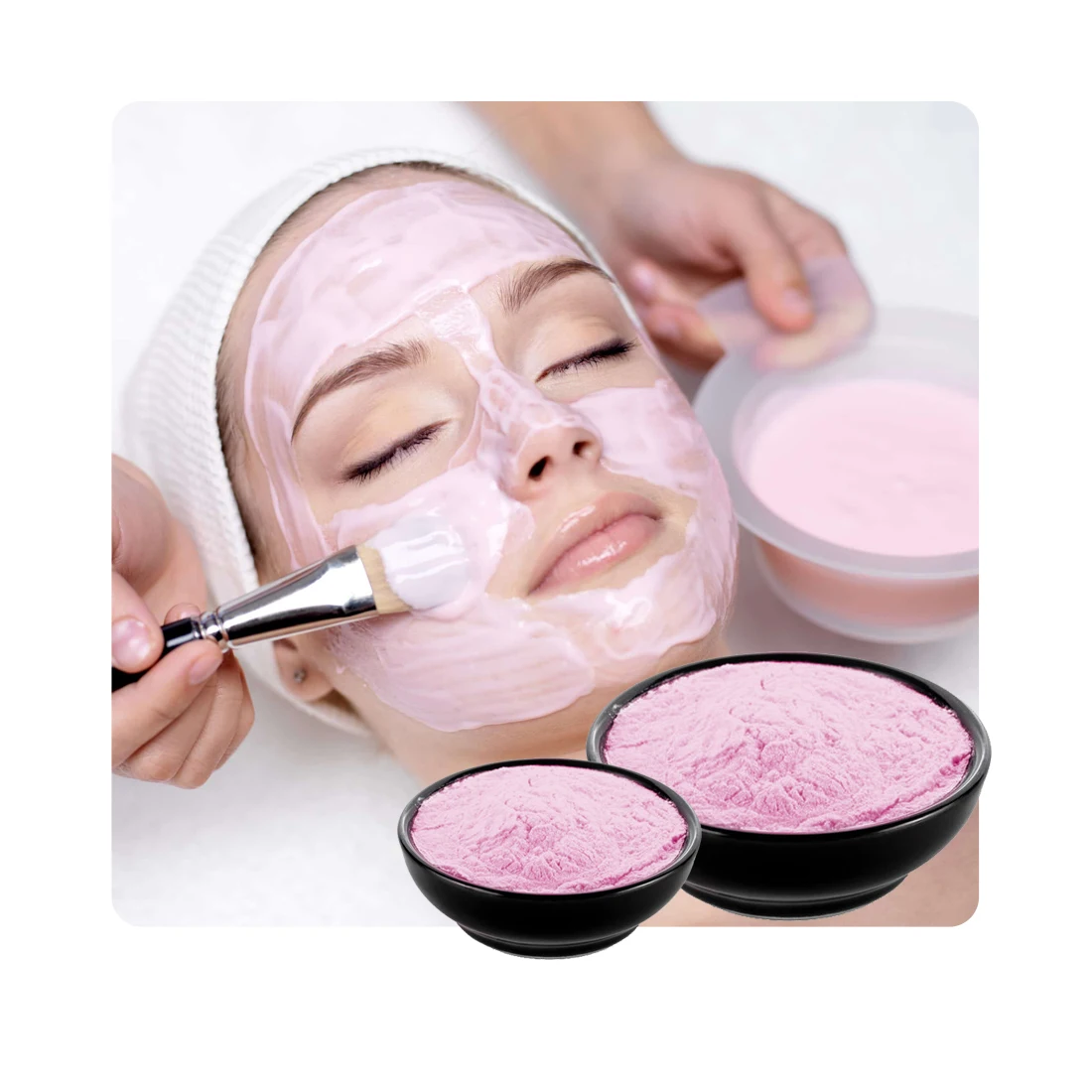 100% Pure and Organic Rose Petals Powder for Skin Care Face Pack for Fairness bulk manufacturer