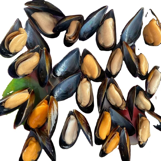 Моллюсков сушеные/Замороженные полускорлупы Mussel