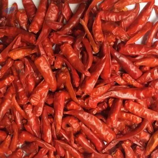 Dried chili best price quality big quantity buy direct from farmer at vietnam Hot Sale Spices Chili From Vietnam With