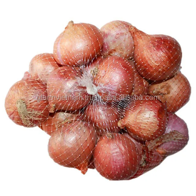 
Fresh red-white onion for sale from Vietnam 