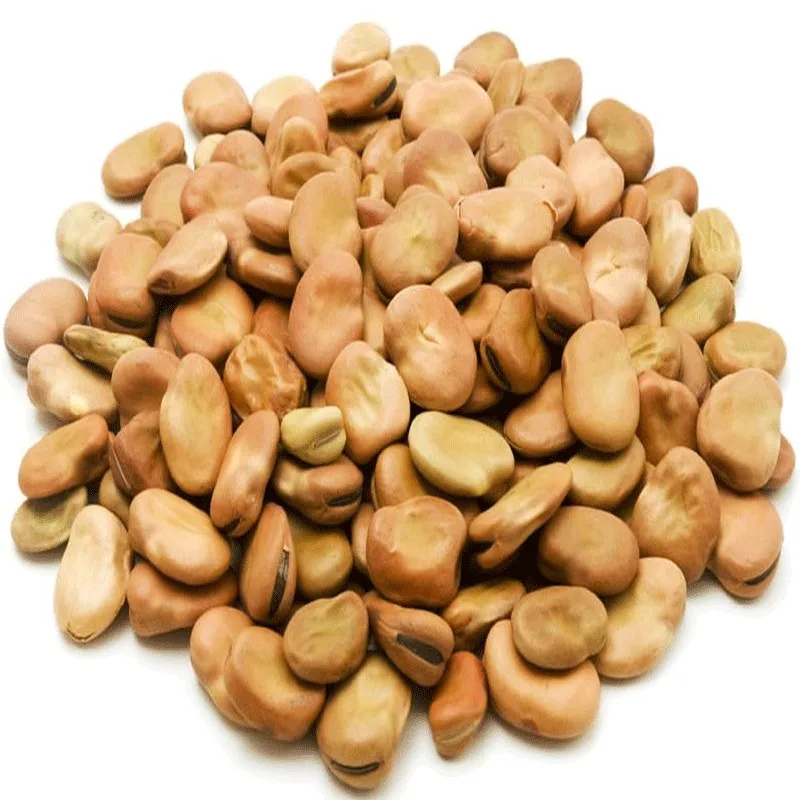 Hot Sale Faba Beans Broad Beans 40 50 50 60 60 70