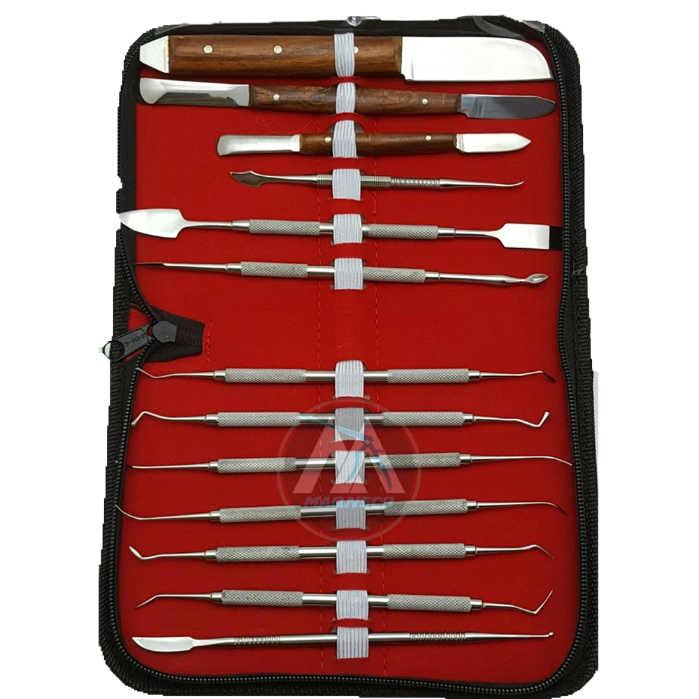 13 Pcs Dental Lab Instruments Kit Wax Carving Modelling Set PK Thomas Wax Knife