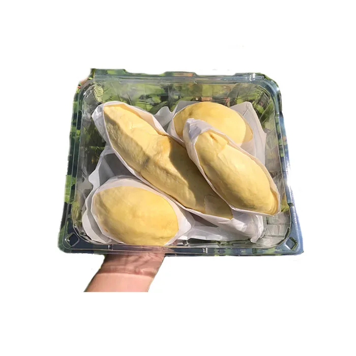 High Quality Premium Durian From Thailand