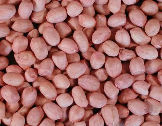 Red-Peanut-Groundnuts (2).jpg