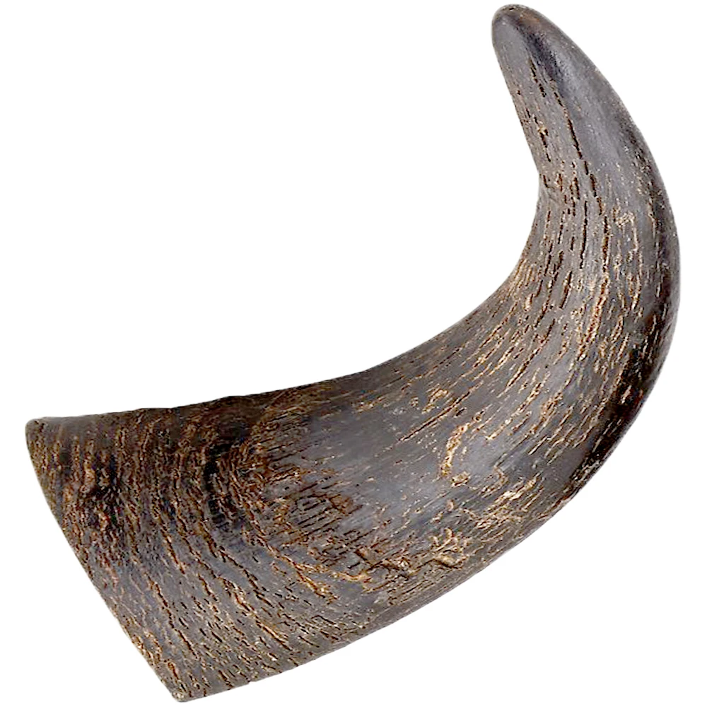 Genuine Buffalo Chewing Horn for Dogs- Wholesale / Water Buffalo Chewing Horn for Dogs chew