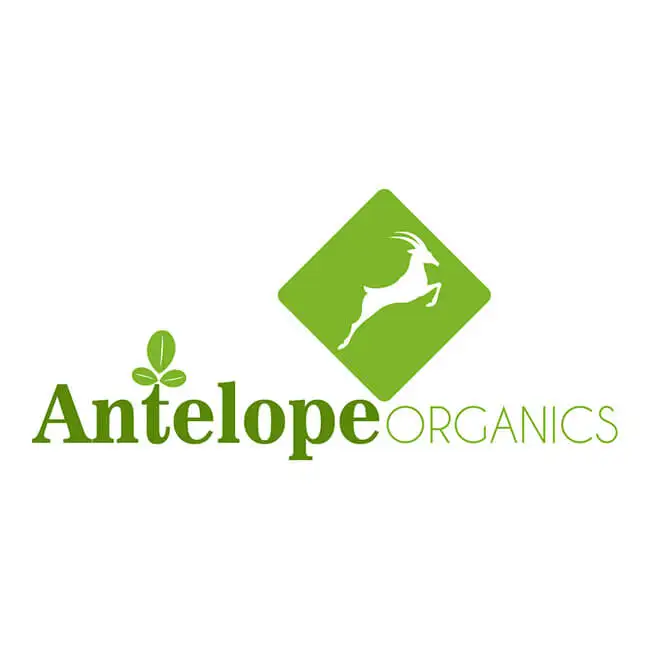 
Logo Designing Service Corporate Identity Poster Logo Graphic Design Services 