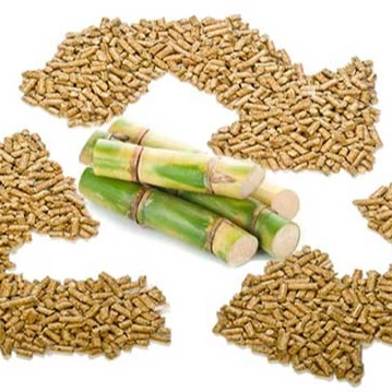 Корм кукурузной кукурузы для аквакультуры