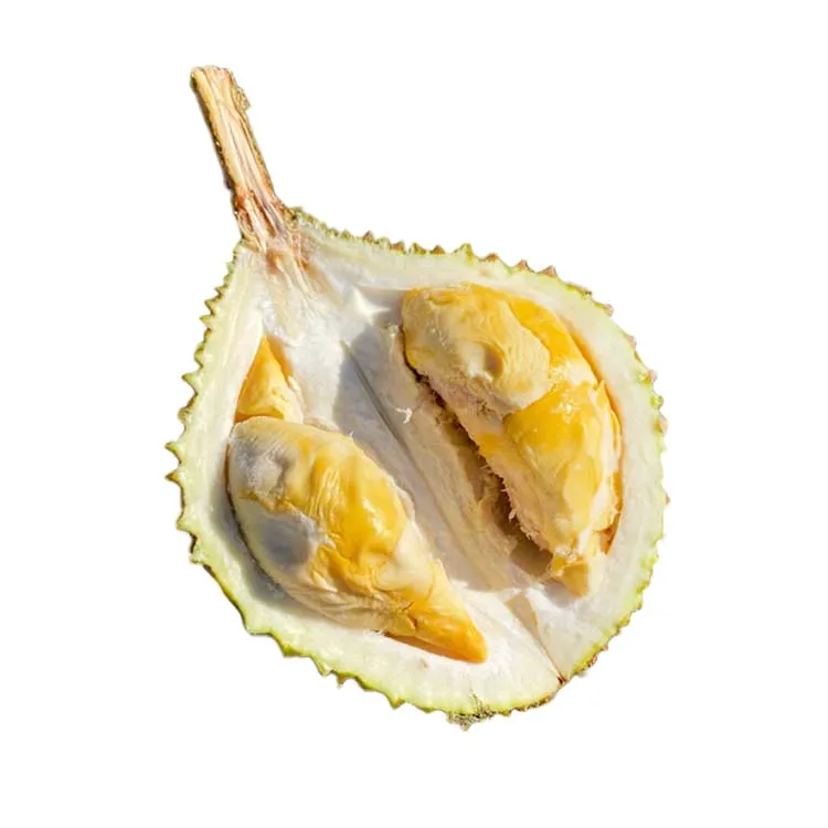 Malaysian Durian Manufacturers Fresh and Frozen Whole Durian Fruit For Sale Export to All Country Bulk Sale