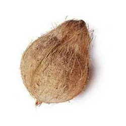Semi Husk Coconut Premium export quality