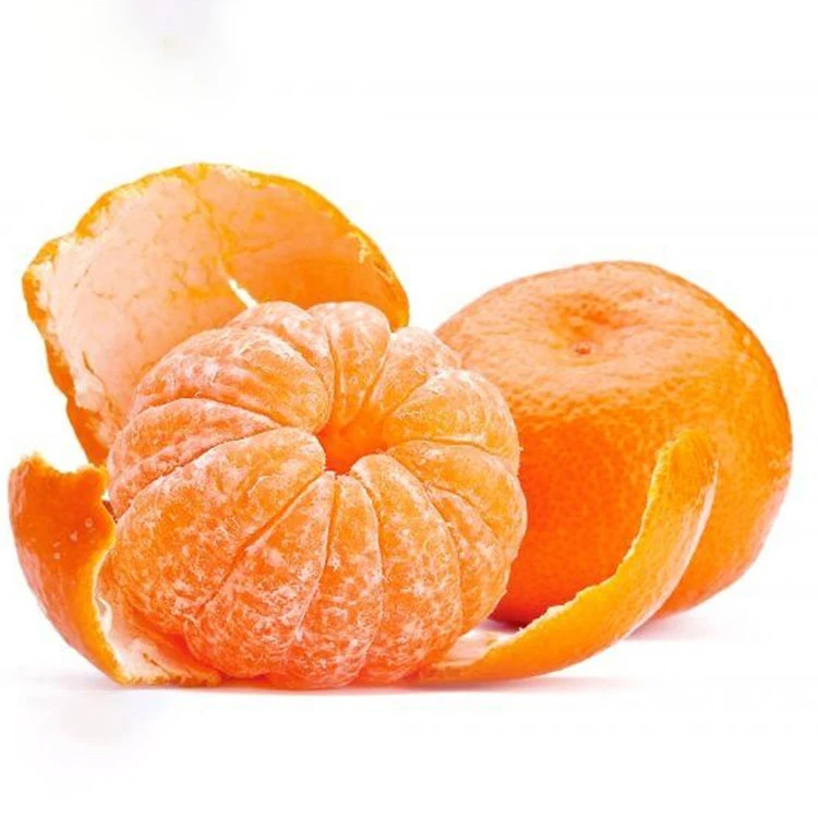 Fresh Pakistani Baby Mandarin Orange Export to Russia