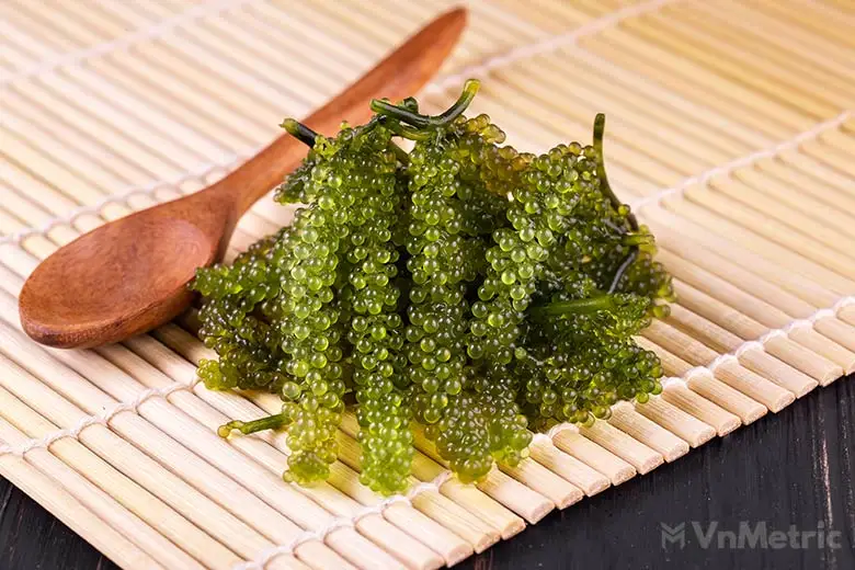 Very reasonable prices and high quality Natural Seaweed from Viet Nam