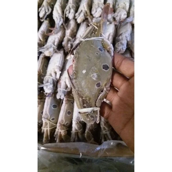 Exportable certified 3 spot crab at reasonable price