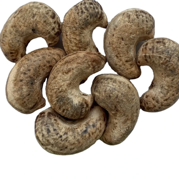 
Wholesale high quality raw cashew nuts Viet Nam manufacturing hot selling 