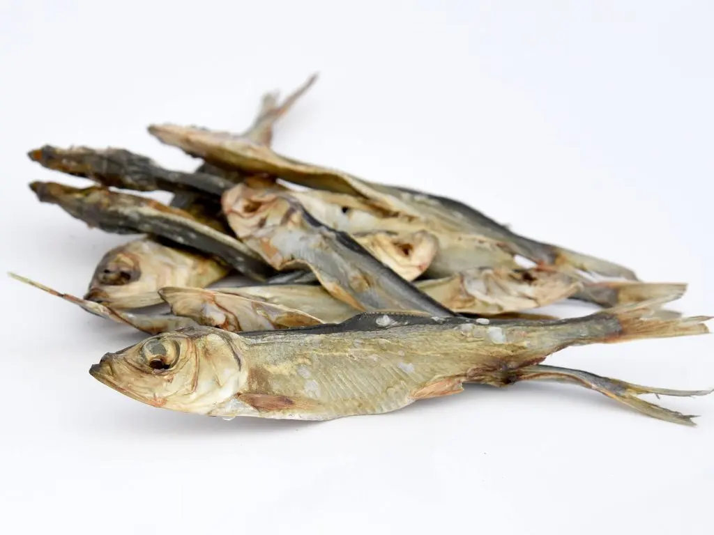 100% натуральная сушеная сельдь по лучшей цене 2021/Катти