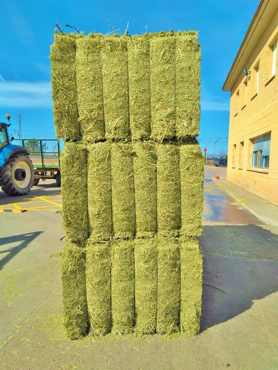 grade ALFALFA HAY PELLETS IN BAGS animal feed price for cattle sale per ton