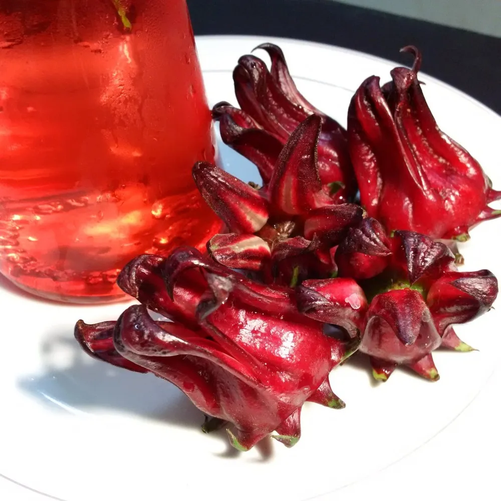 Dried Roselle Flower/ Hibiscus Flower Tea/  Dried Hibiscus  WHATSAPP +84-845-639-639