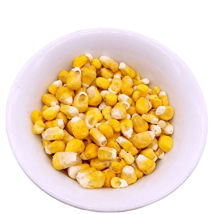 Non GMO Yellow Corn / Sweet Corn / Yellow Corn Maize for Sale in Bulk
