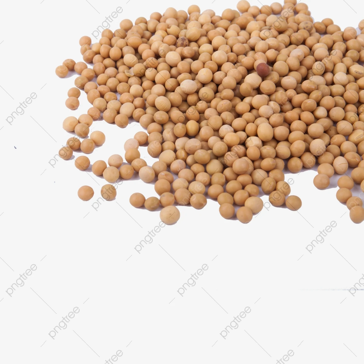 Top quality Non GMO Soybean Yellow/ Non-GMO Soya /Soja/ Soybeans for sale