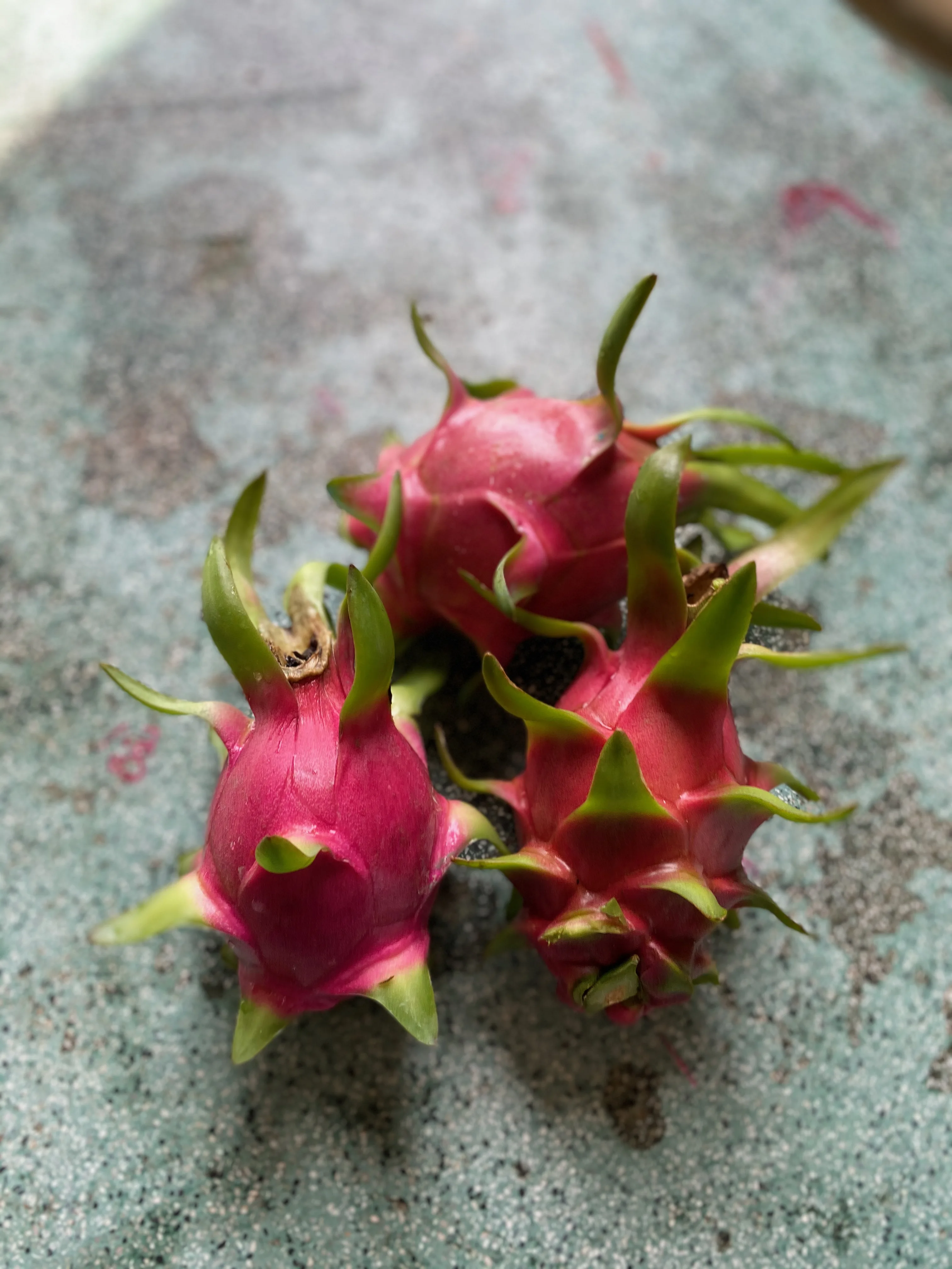 Фрукт дракона из Вьетнама, Лидер продаж // ALLY 0084912438547