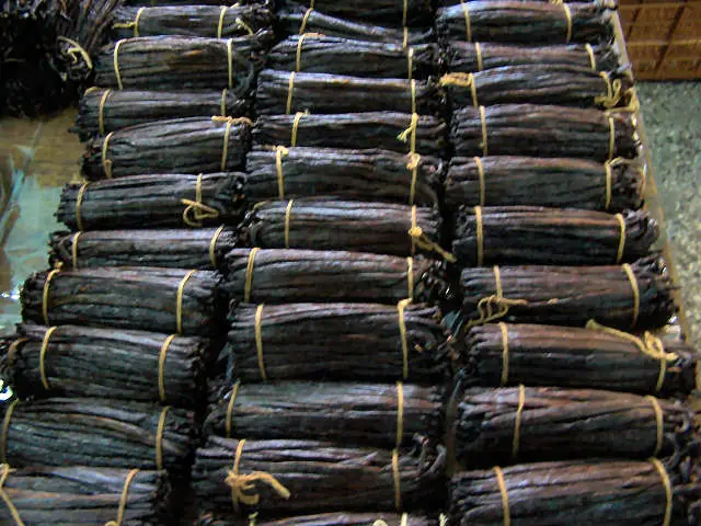 Premium  Vanilla Beans For Sale