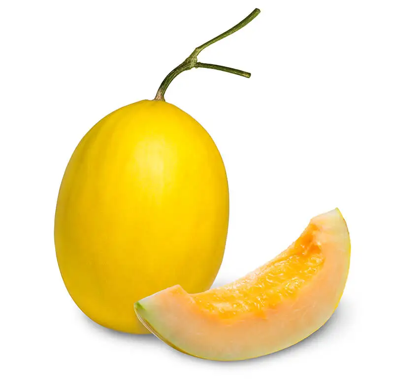 Желтая канарская дыня, низкая цена, высокое качество от компании во Вьетнаме, купить сейчас