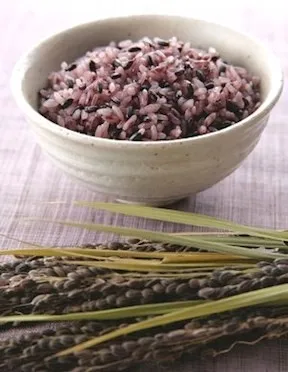  Черный рис с длинным зерном GAO NEP THAN - jasmine Black Rice-Oryza посева (Ms Деми + 84 961 733 400)