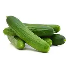 
Vegetables Green Fresh Cucumber for Sale Best Price Style Small Weight Origin 