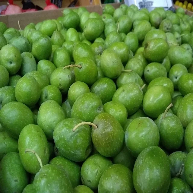 
Best and Good Quality fresh Olives Available for Sale .Best Price 