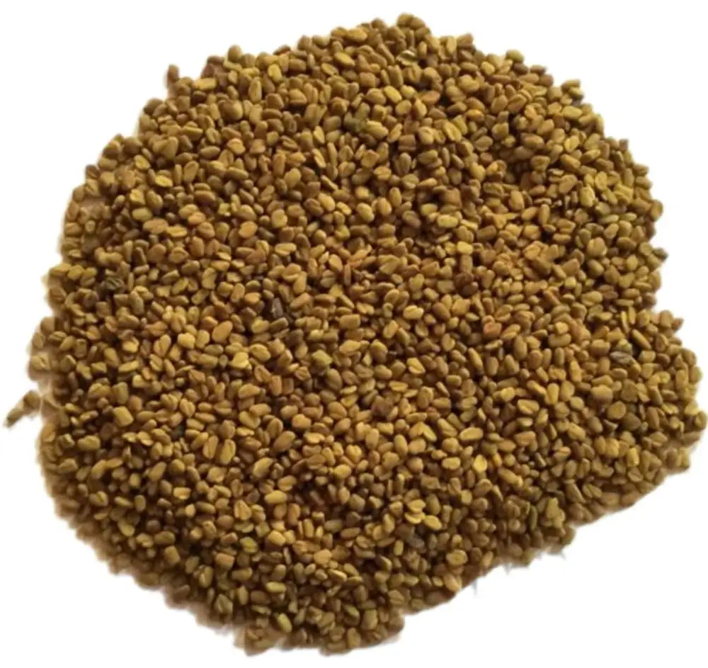 
Dried Fenugreek Seeds Natural 2020 
