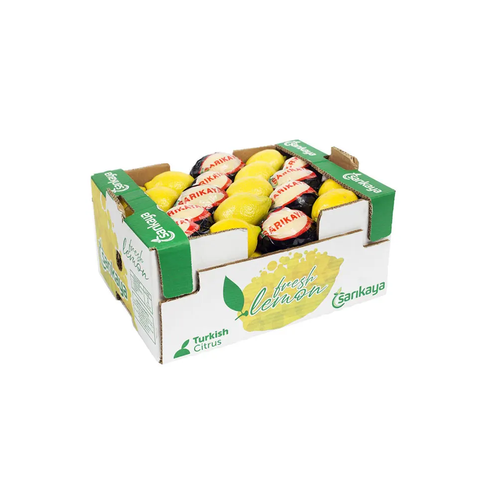 
Fresh Lemon Best Taste Lemon from Turkey Ready to Export Product 