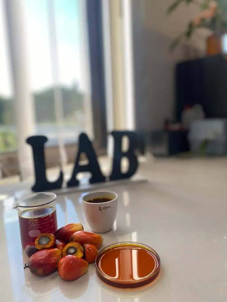 100% Purity 4.5% max FFA Natural Crude Plant Palm Oil (CPO) In Bulk Packaging Used For Cooking From Indonesia