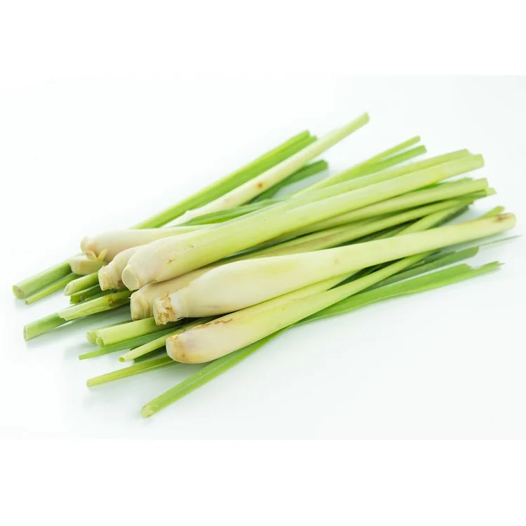 Organic Lemongrass Hydrosol Oil