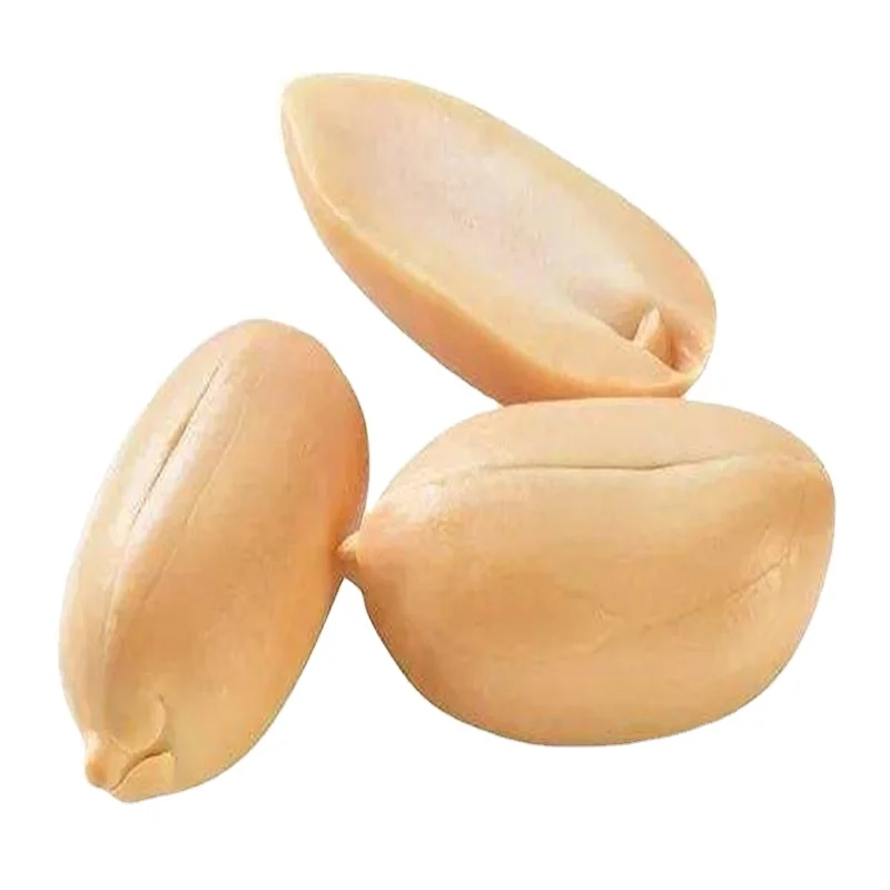 top buy peanuts java 100% natural common cultivate indian peanuts 50 kg. jute bag