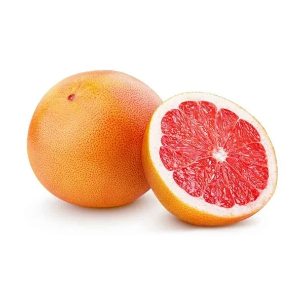 
FRESH FRUITS Grapefruit High Qualified 