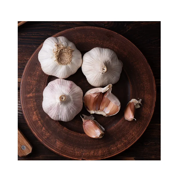 
Wholesale Cheap Price For Top Selling Fresh Garlic 