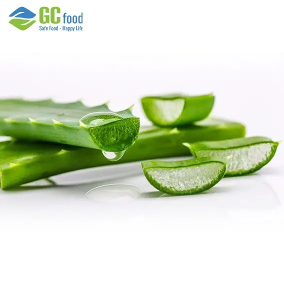 (GCFOOD) Aloe Vera Gel Dice Pulp High Quality/Ms.Anna+84 364930172